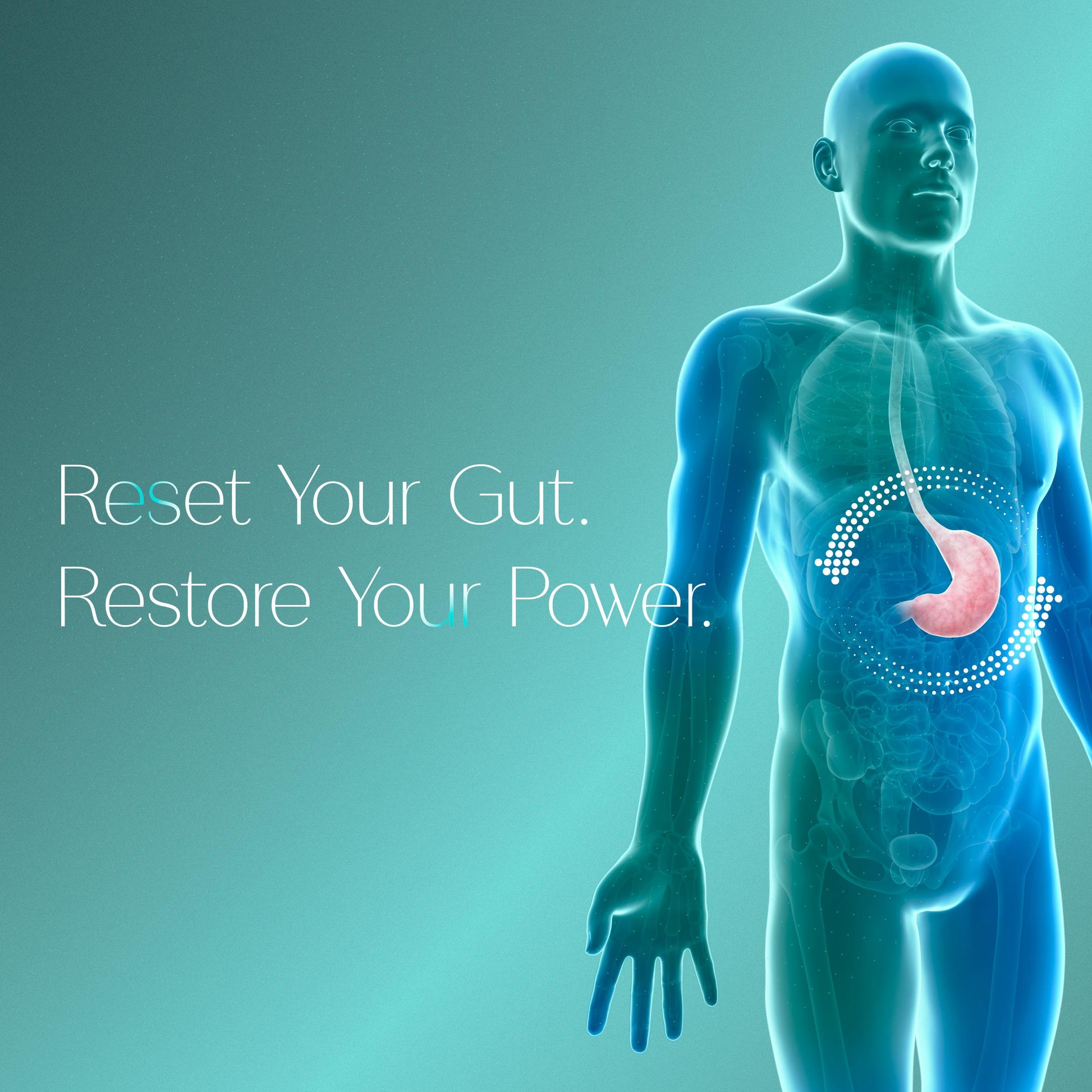 Reset Your Gut